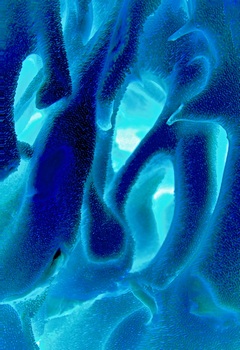 A 48D